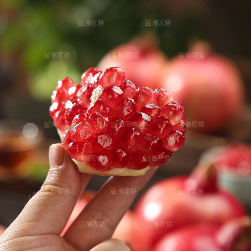 酸石榴