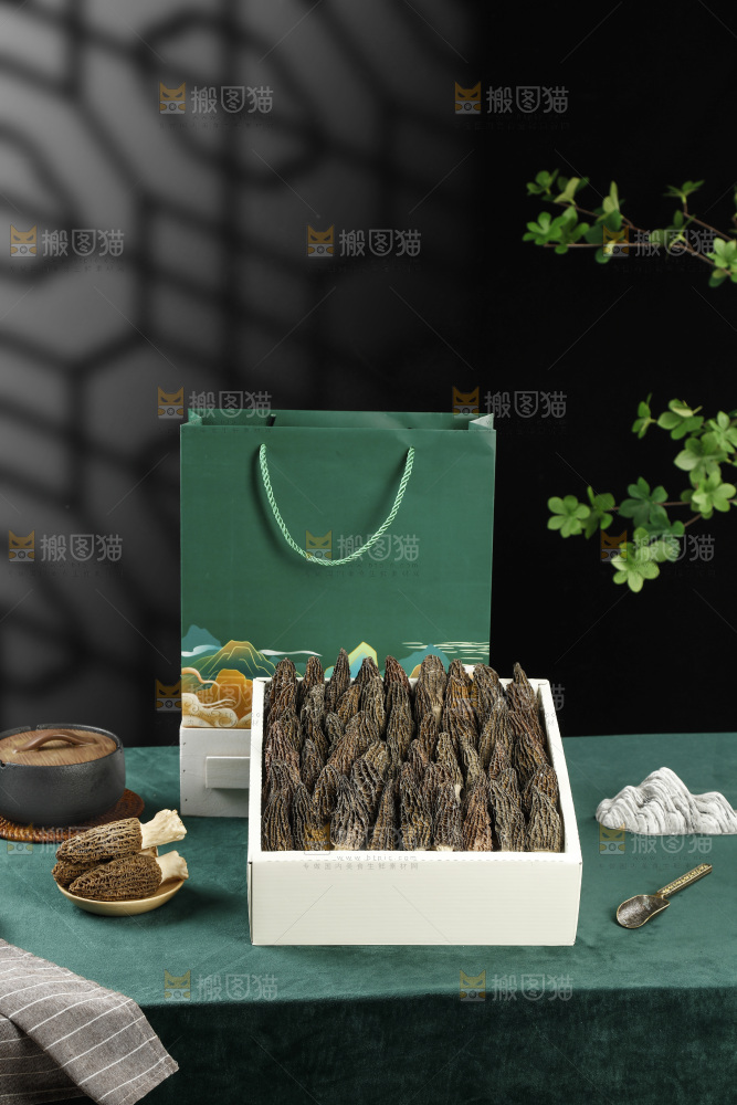 羊肚菌