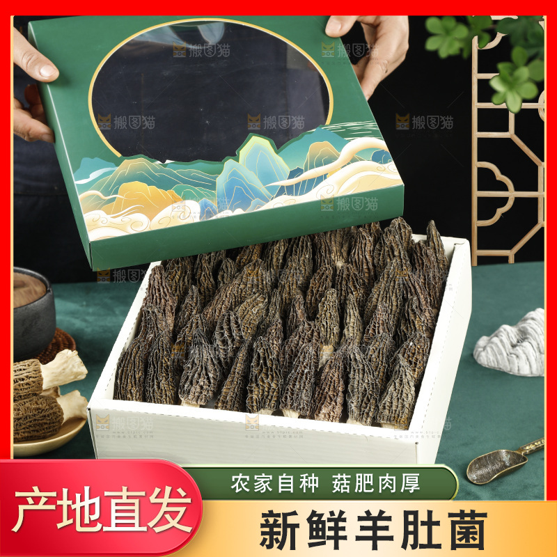 羊肚菌