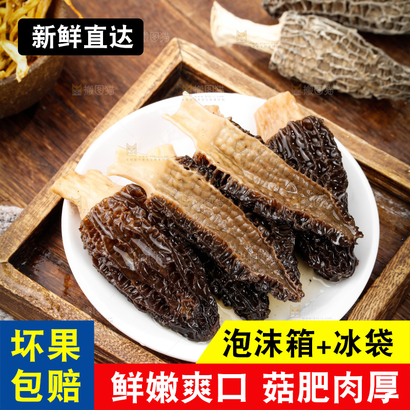 羊肚菌