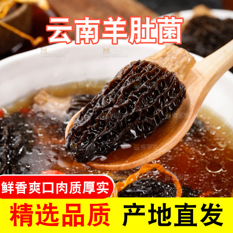 羊肚菌