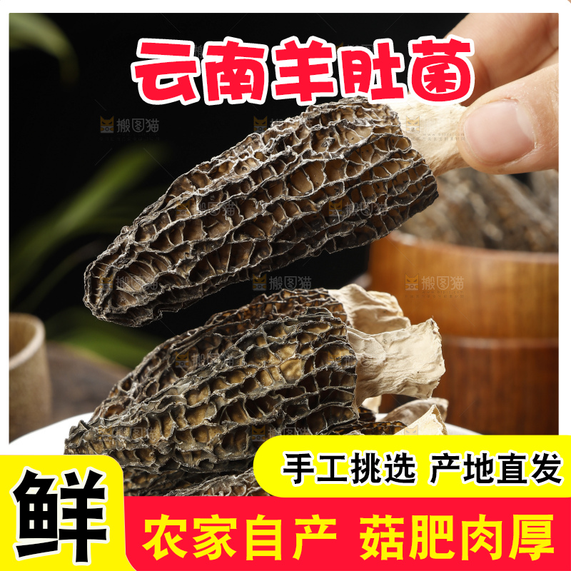 羊肚菌