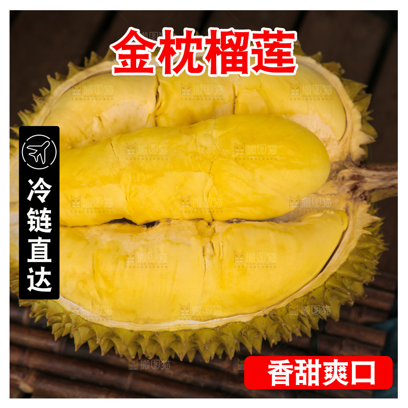金枕榴莲