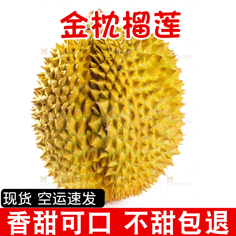 金枕榴莲