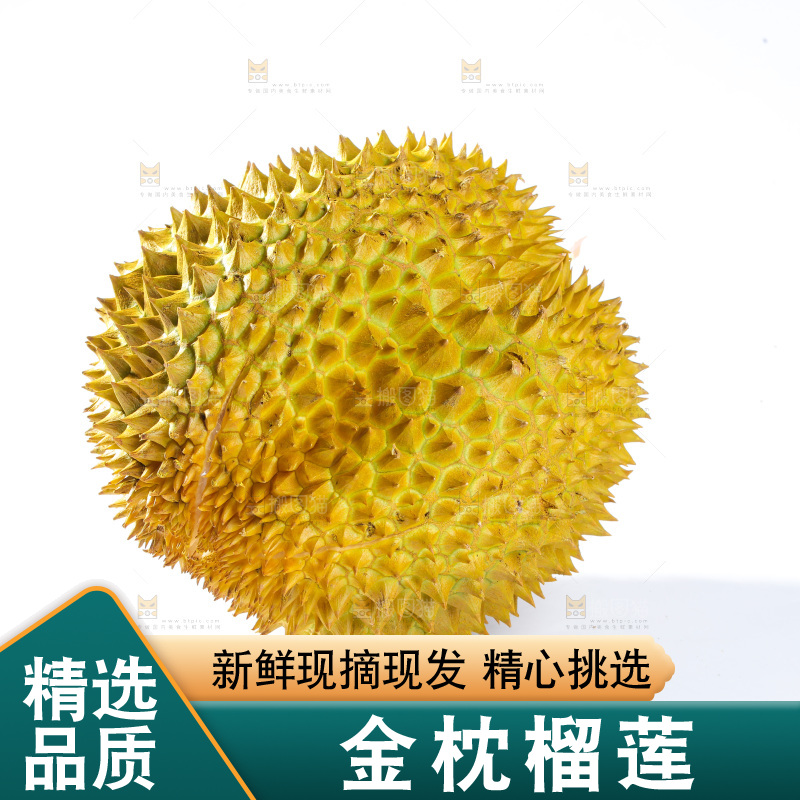 金枕榴莲