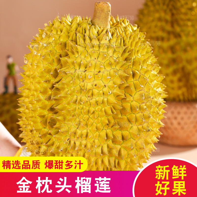 金枕榴莲