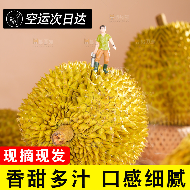 金枕榴莲