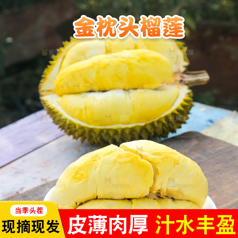 金枕榴莲