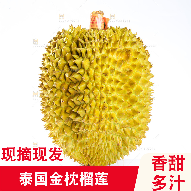 金枕榴莲