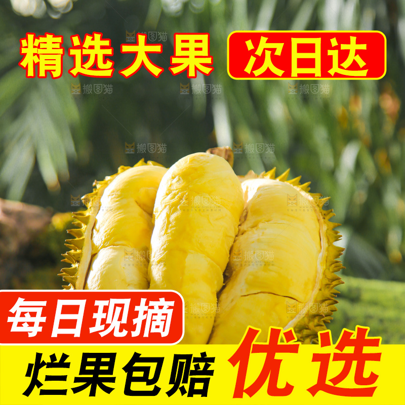 金枕榴莲