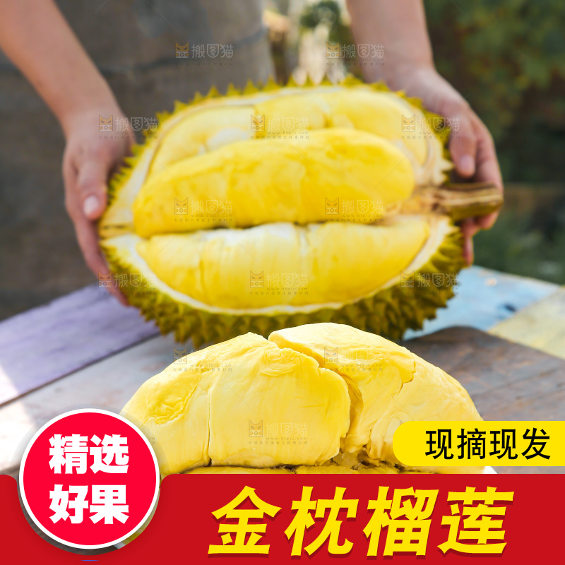 金枕榴莲