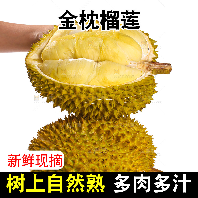金枕榴莲