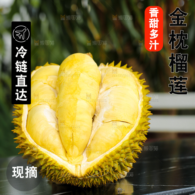 金枕榴莲