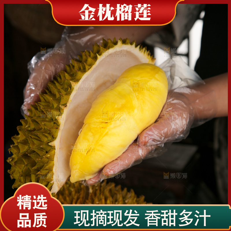 金枕榴莲