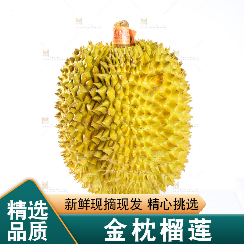 金枕榴莲