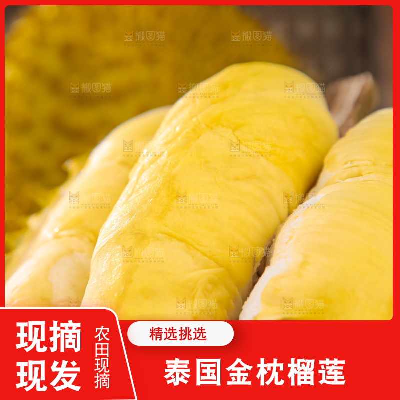 金枕榴莲