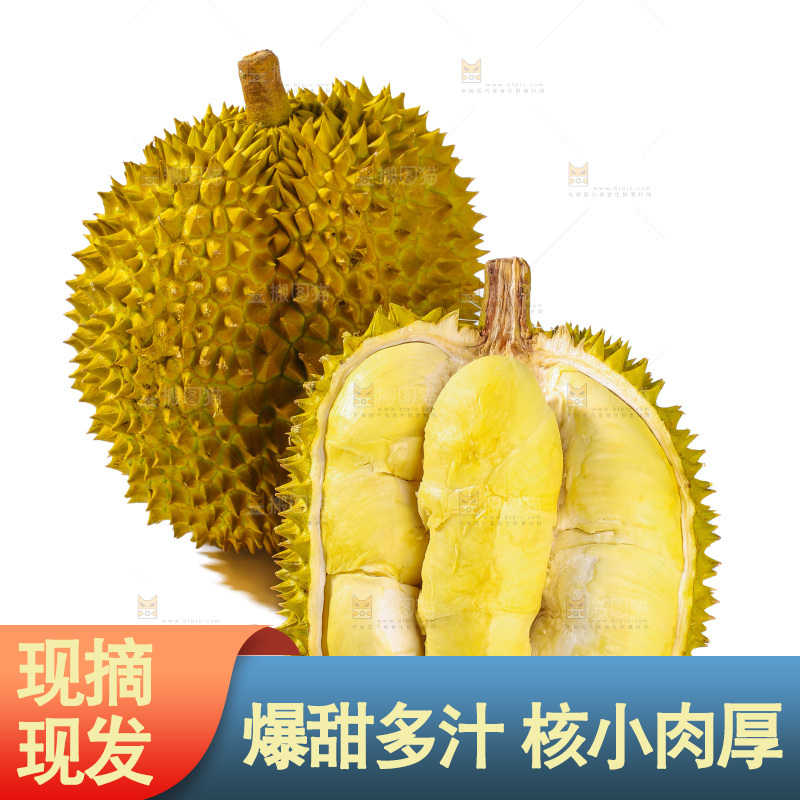 金枕榴莲