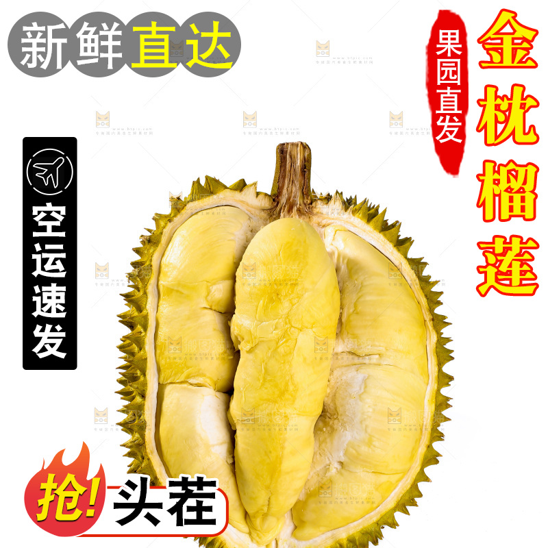 金枕榴莲