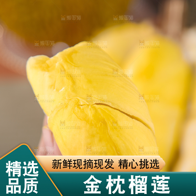 金枕榴莲
