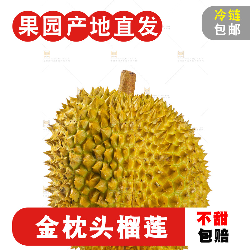 金枕榴莲
