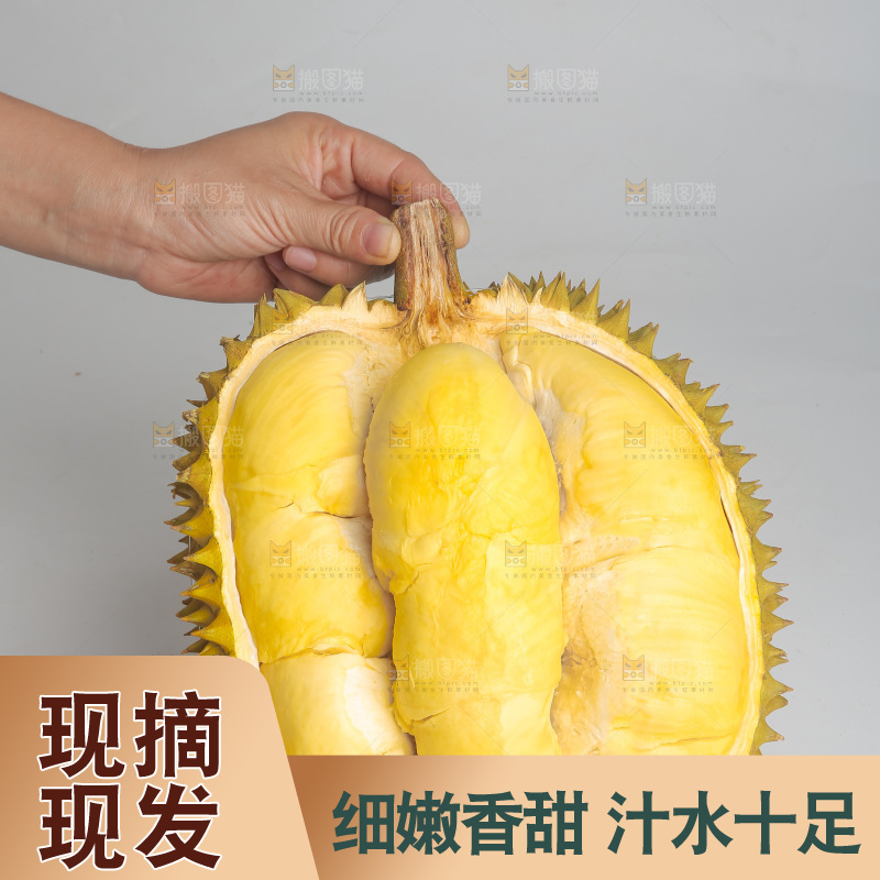 金枕榴莲