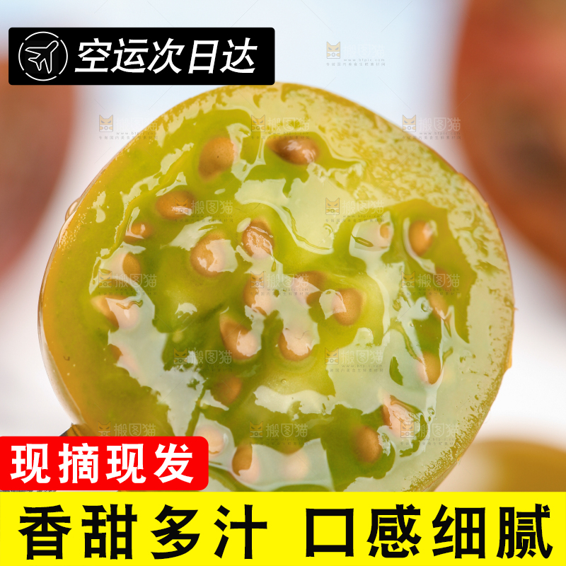 青口蜜小番茄