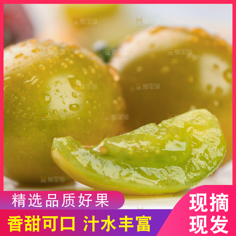 青口蜜小番茄