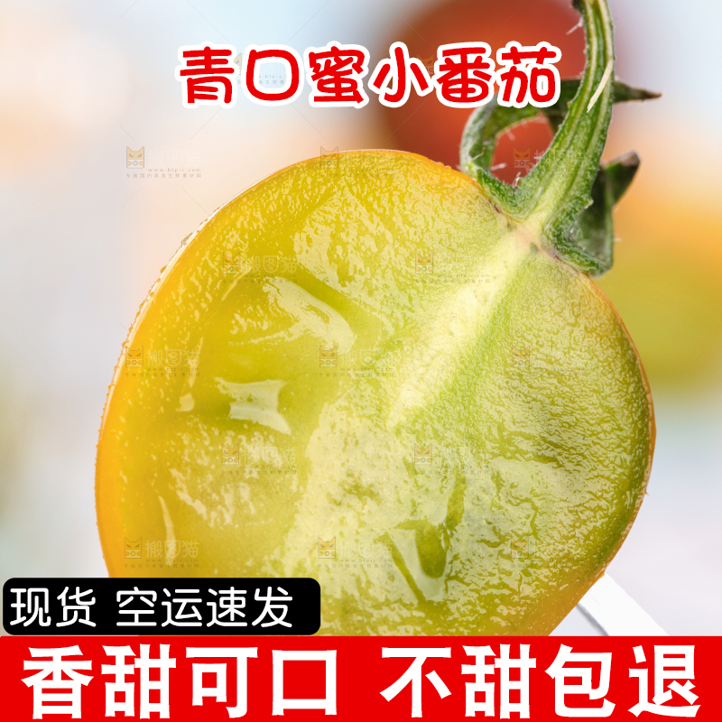 青口蜜小番茄
