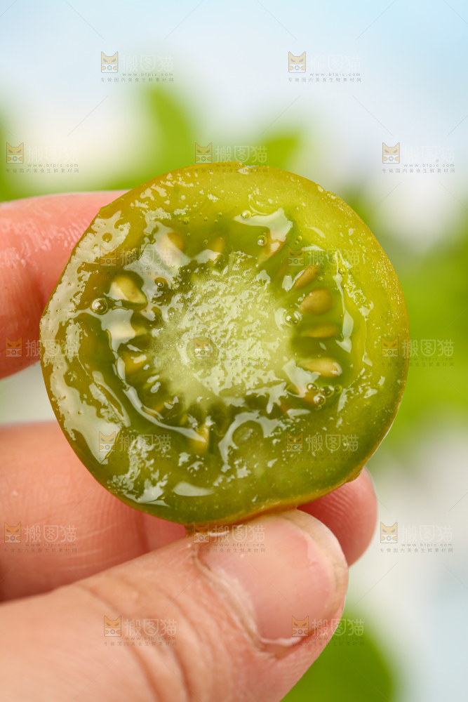 青口蜜小番茄