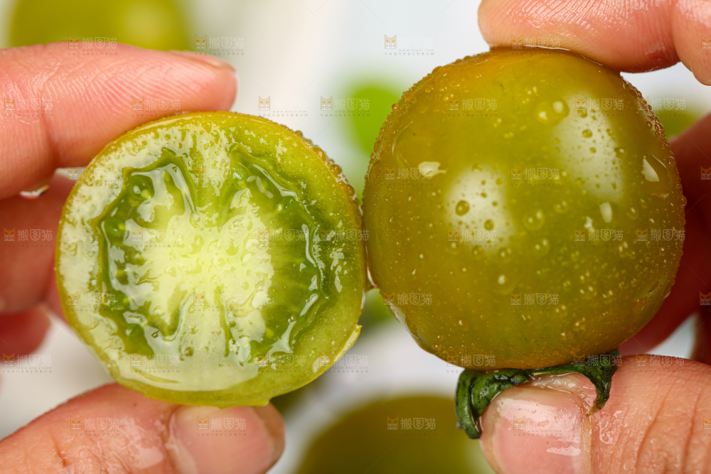 青口蜜小番茄