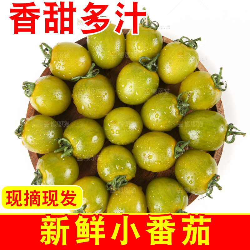青口蜜小番茄