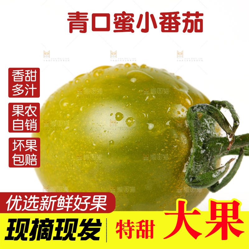 青口蜜小番茄