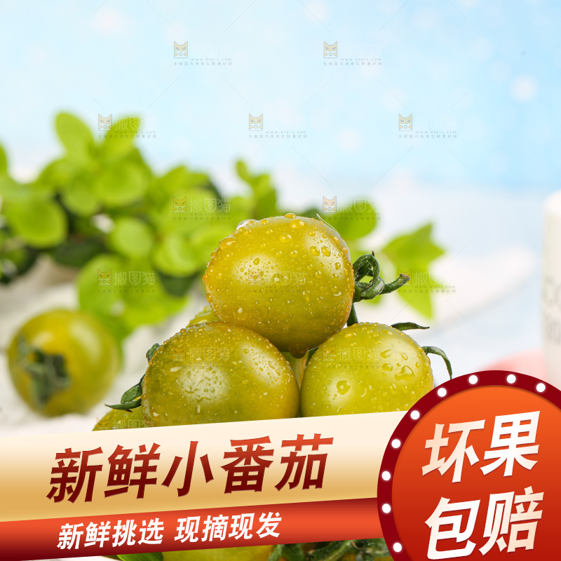 青口蜜小番茄