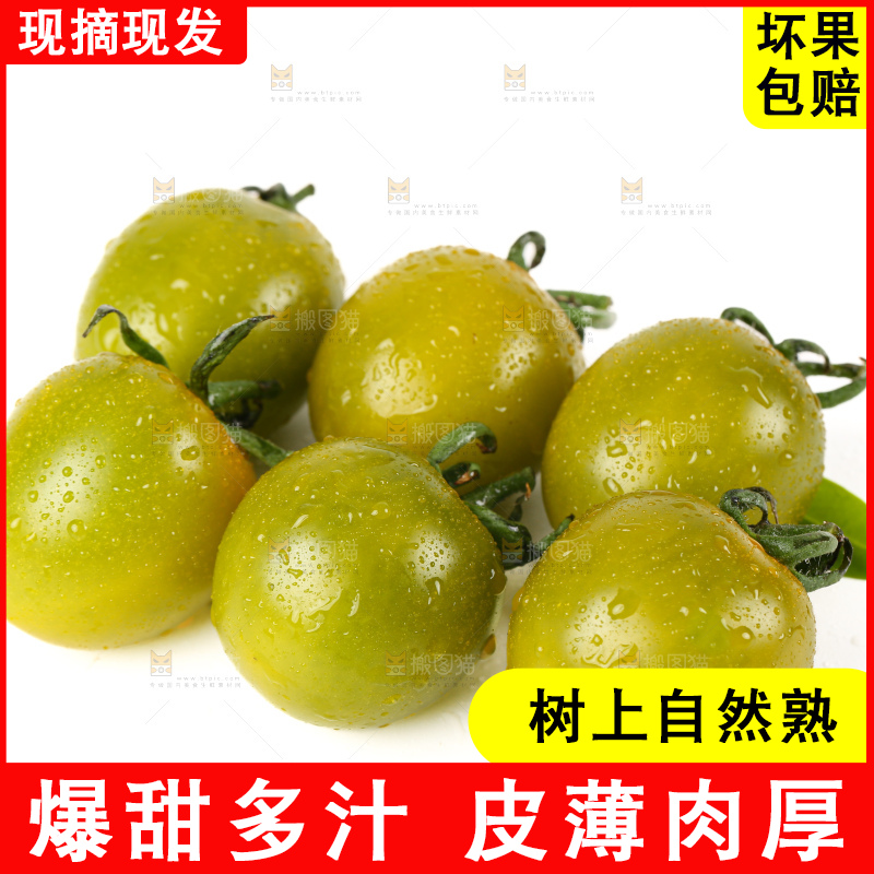 青口蜜小番茄