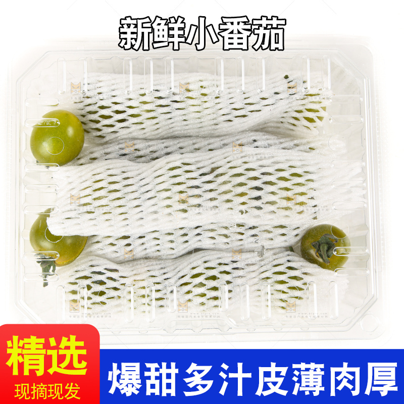 青口蜜小番茄