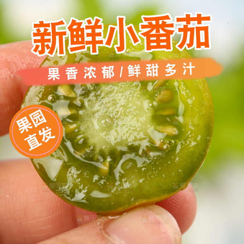 青口蜜小番茄