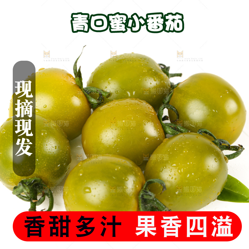 青口蜜小番茄