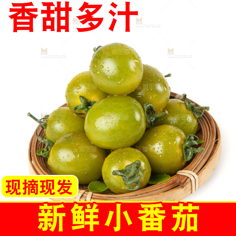 青口蜜小番茄