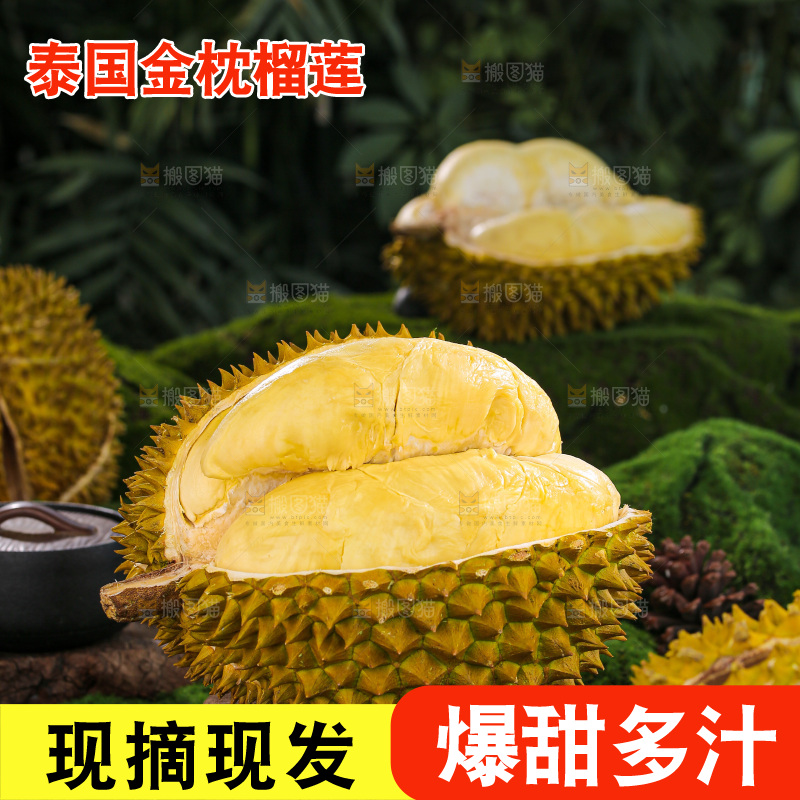 金枕榴莲