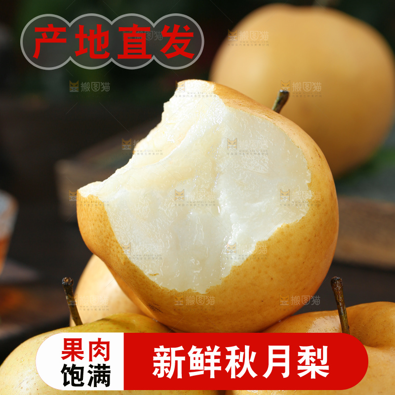 秋月梨