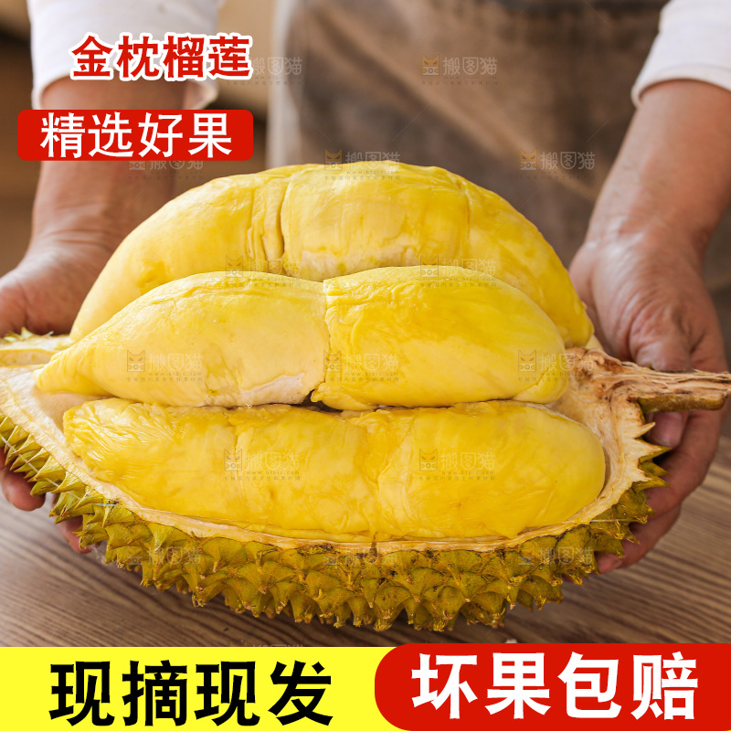 金枕榴莲