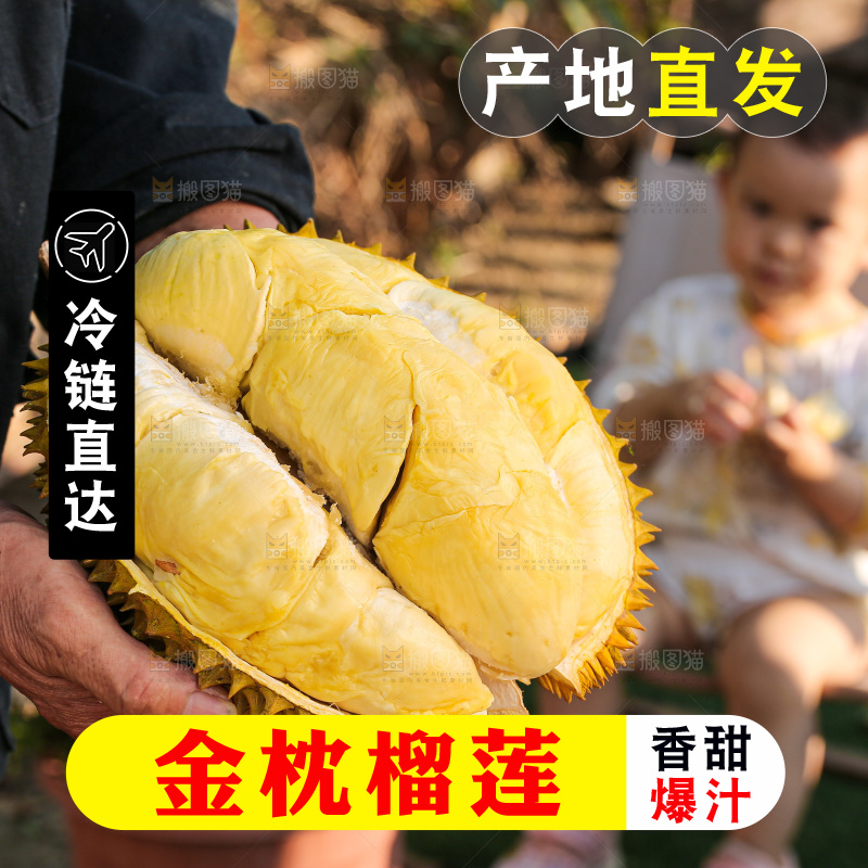 金枕榴莲