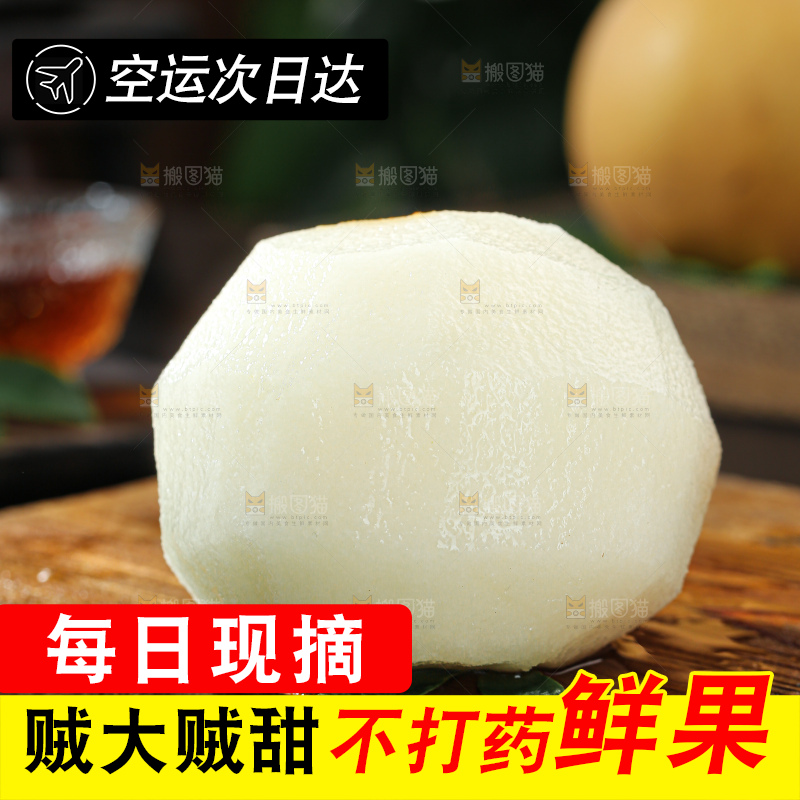 秋月梨