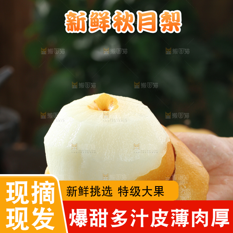 秋月梨
