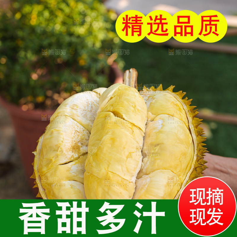 金枕榴莲