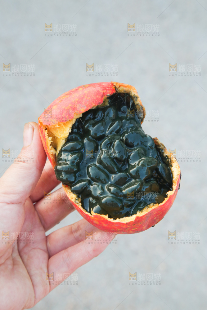 吊瓜子