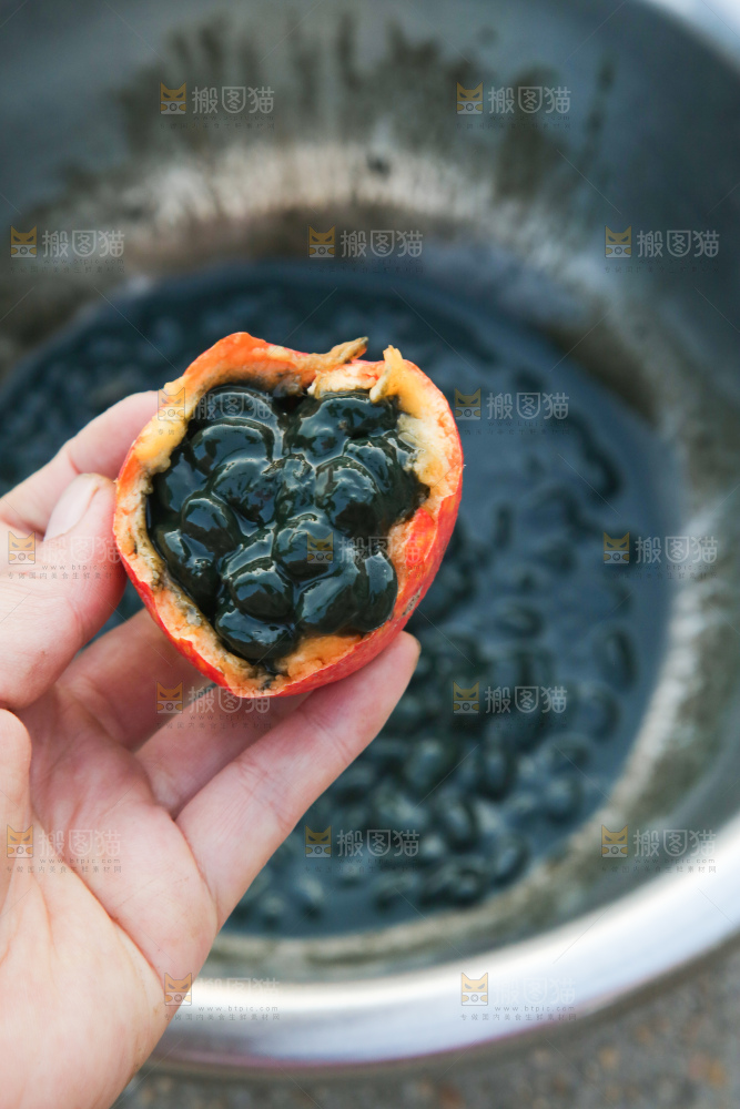 吊瓜子