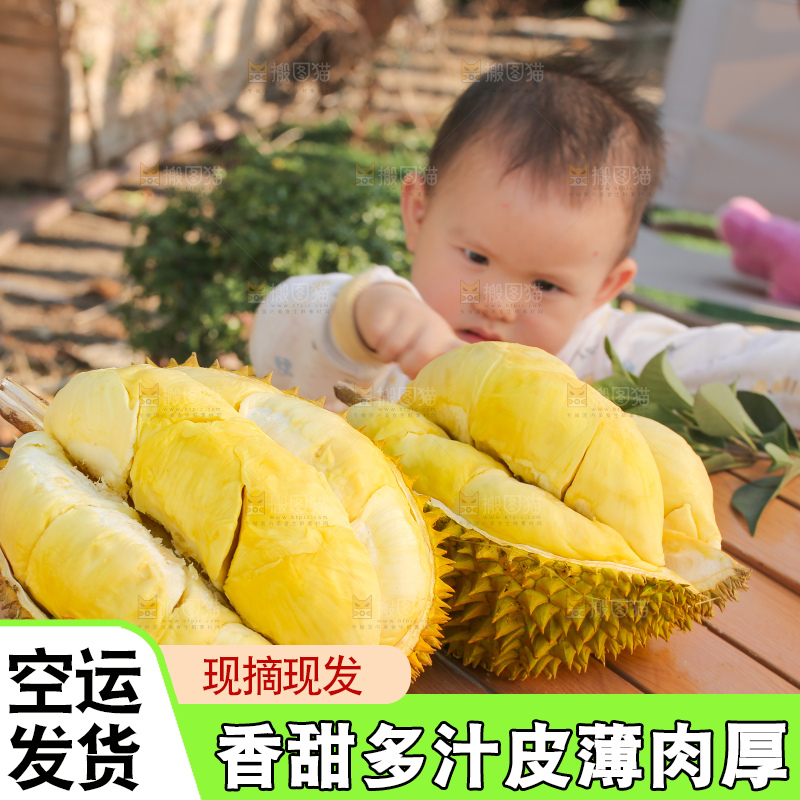 金枕榴莲