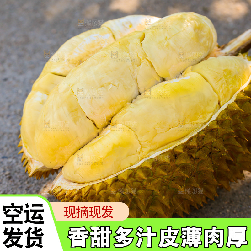 金枕榴莲