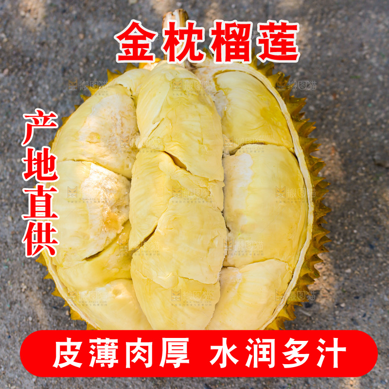 金枕榴莲